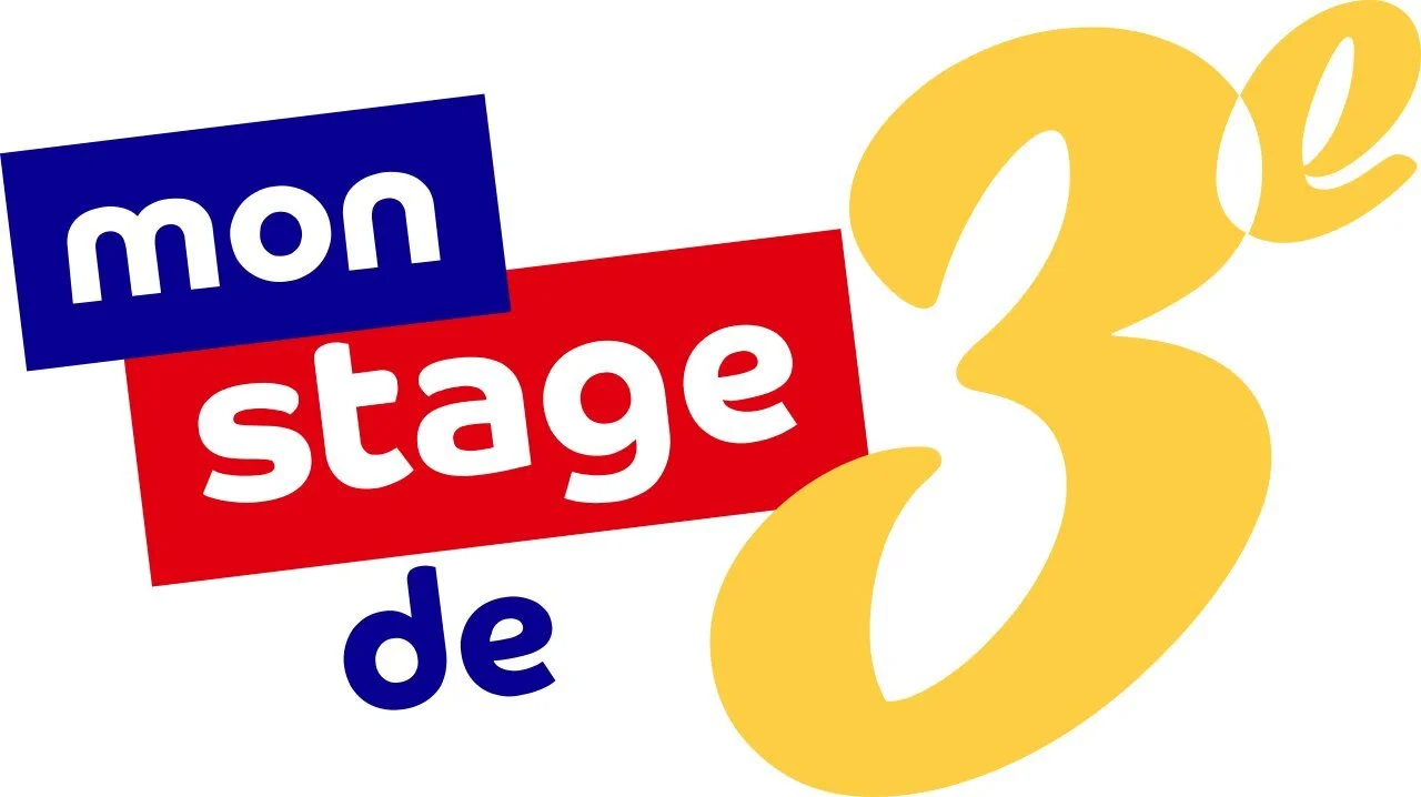 logo-mon-stage-3e-4555ad6b87b489f64b28b1b84e5c276a.webp