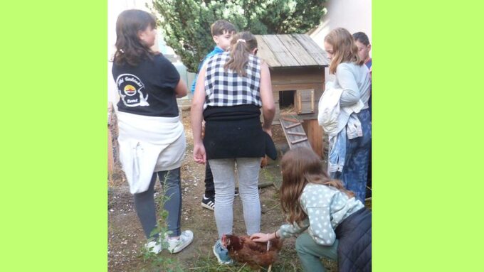 Design sans titre (31).jpg